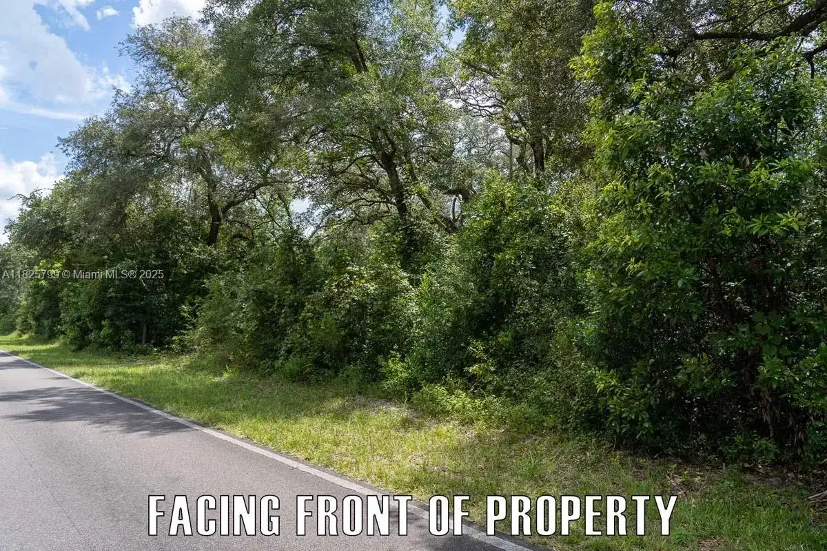 Old Fanning Rd, Other City - In The State Of Florida FL 32693 photo 5