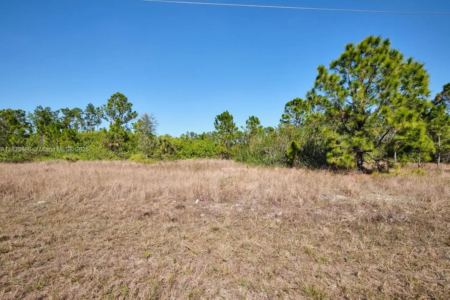 1025 E WINTERS STREET, Lehigh Acres FL 33974 photo 2