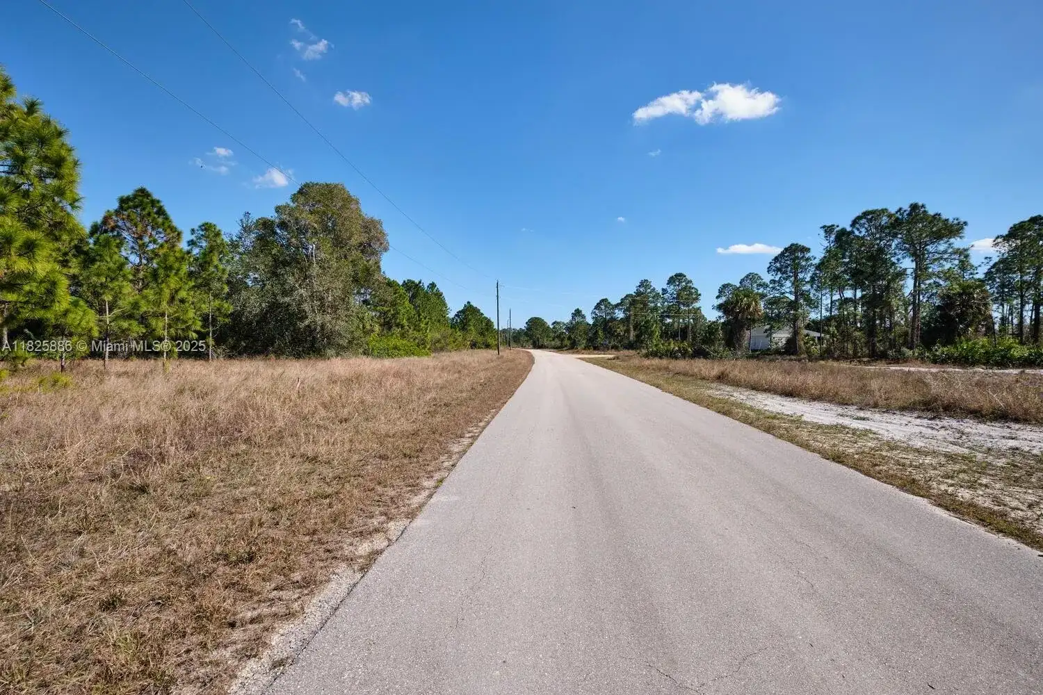 1025 E WINTERS STREET, Lehigh Acres FL 33974 photo 4