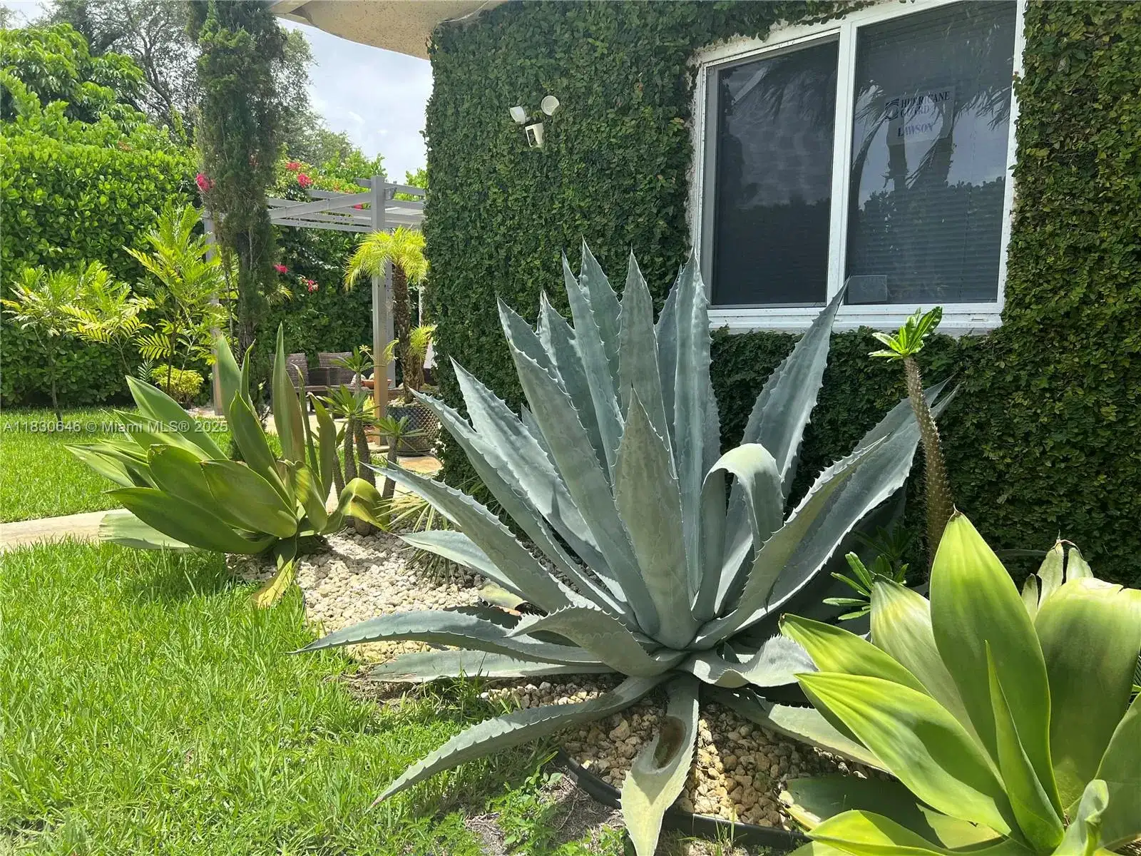 323 NW 105th St, Miami FL 33150 photo 4