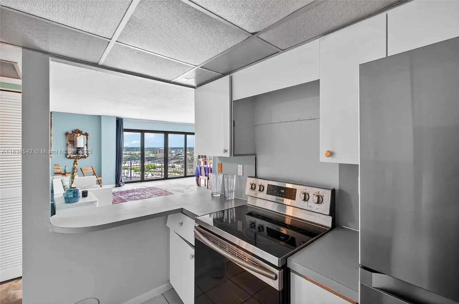 11111 Biscayne Blvd # 2100, Miami FL 33181 photo 5