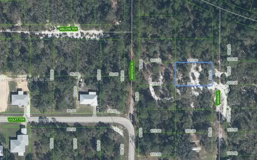 6809 VANDA PL, Sebring FL 33875 photo 2