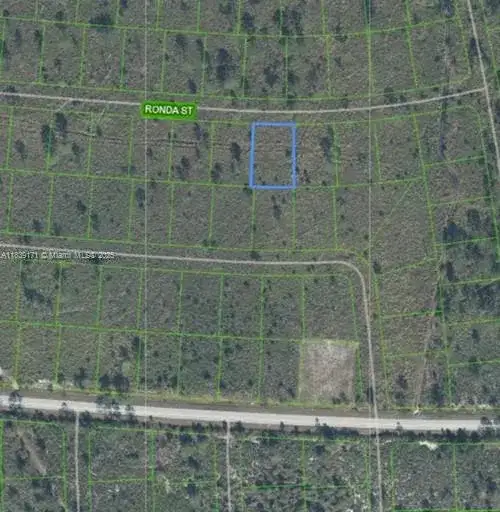 7811 RONDA ST, Sebring FL 33872 photo 2