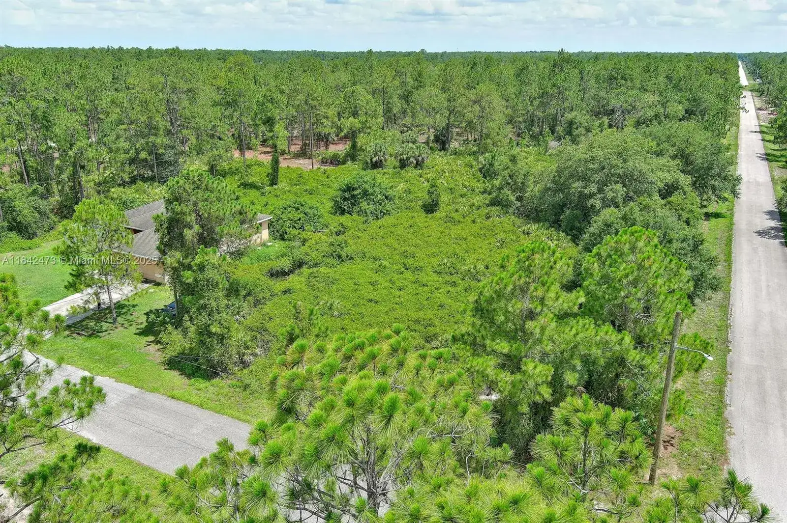 3100 E 13th St, Lehigh Acres FL 33972 photo 4