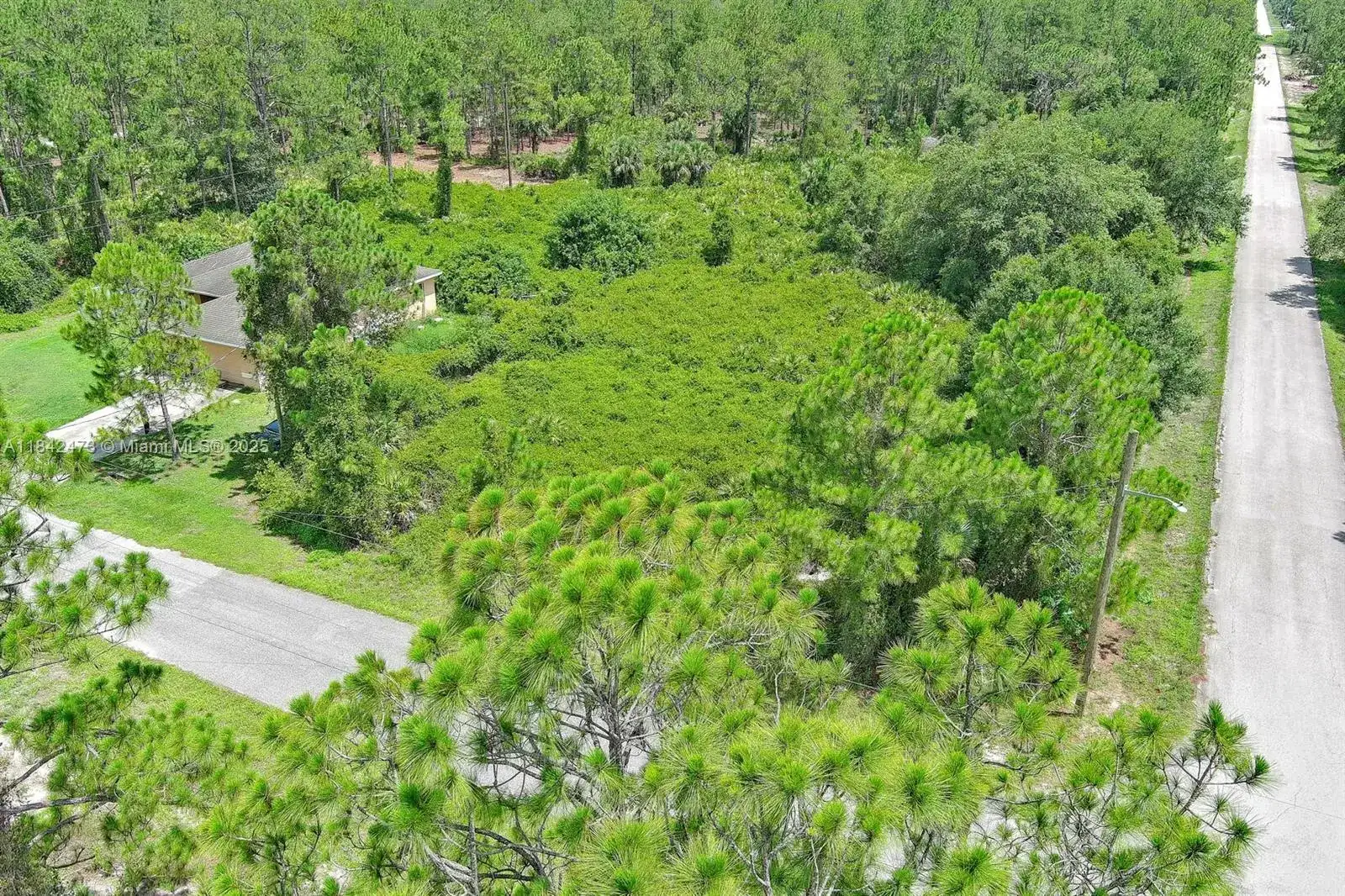 3100 E 13th St, Lehigh Acres FL 33972 photo 5