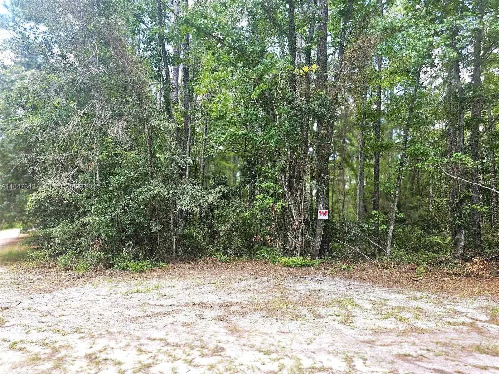 0 Unassigned Location Re, Palatka FL 32177 photo 4