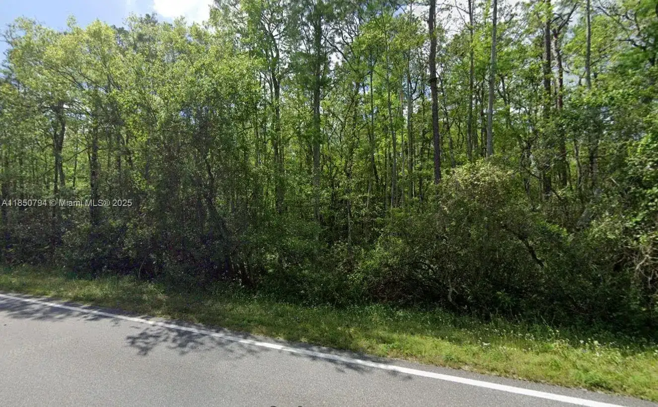 0 DEEN STILL RD E, Other City - In The State Of Florida FL 33868 photo 2