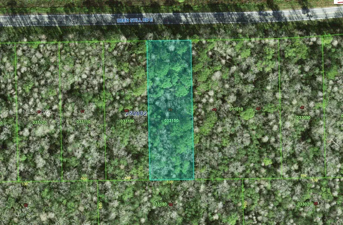 0 DEEN STILL RD E, Other City - In The State Of Florida FL 33868