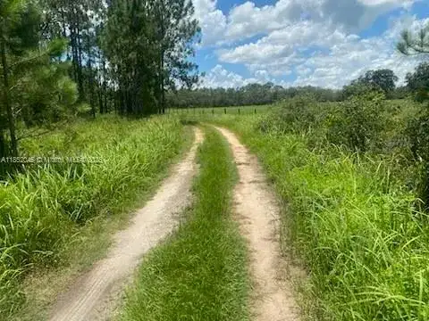 0 DEEN STILL RD E, Other City - In The State Of Florida FL 33868 photo 2
