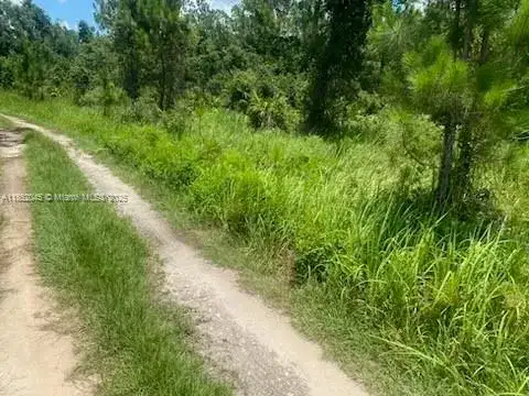 0 DEEN STILL RD E, Other City - In The State Of Florida FL 33868 photo 3