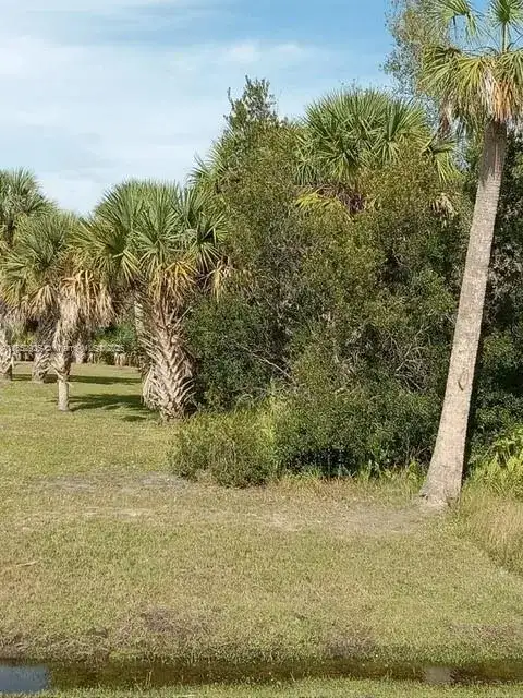 26054 Notre Dame, Punta Gorda FL 33955 photo 3
