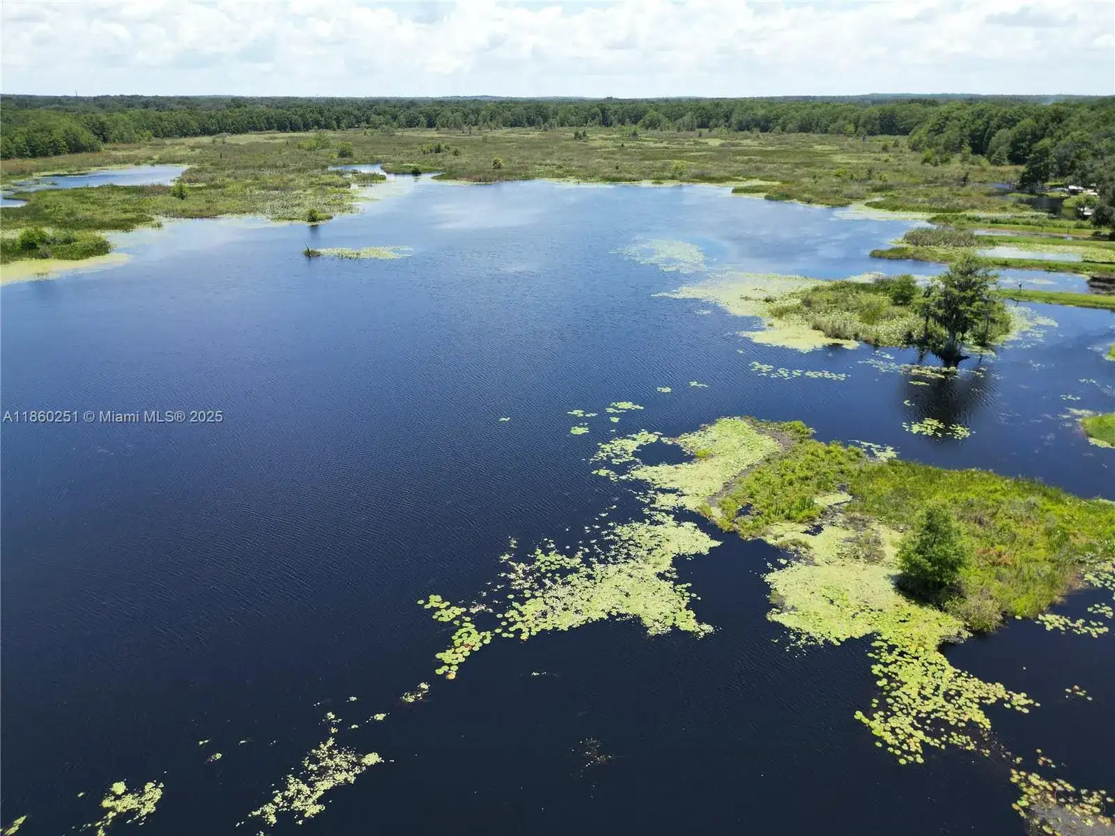 8781 S LAKESHORE DR FLORAL CITY, Other City - In The State Of Florida FL 34436 photo 2