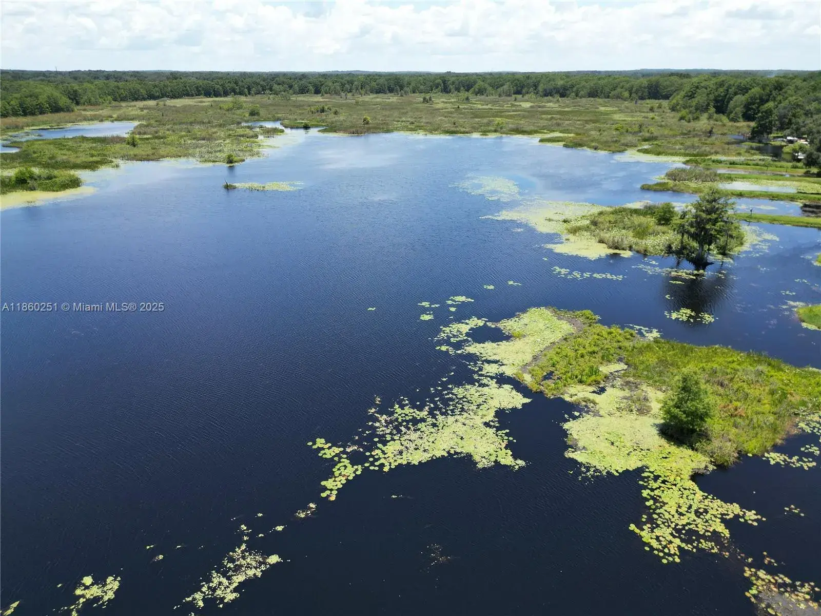 8781 S LAKESHORE DR FLORAL CITY, Other City - In The State Of Florida FL 34436
