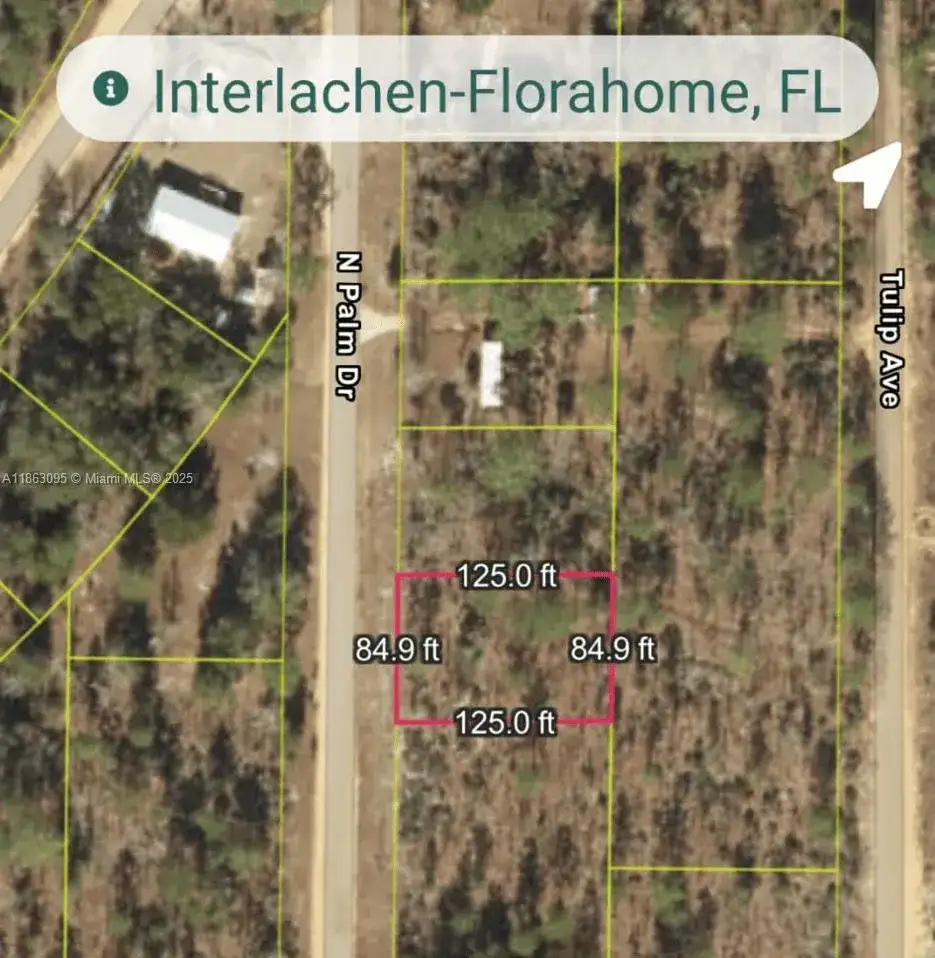108 N Palm Dr, Other City - In The State Of Florida FL 32148 photo 3