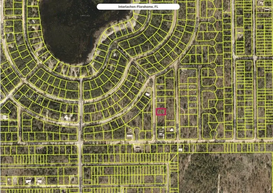 108 N Palm Dr, Other City - In The State Of Florida FL 32148 photo 4