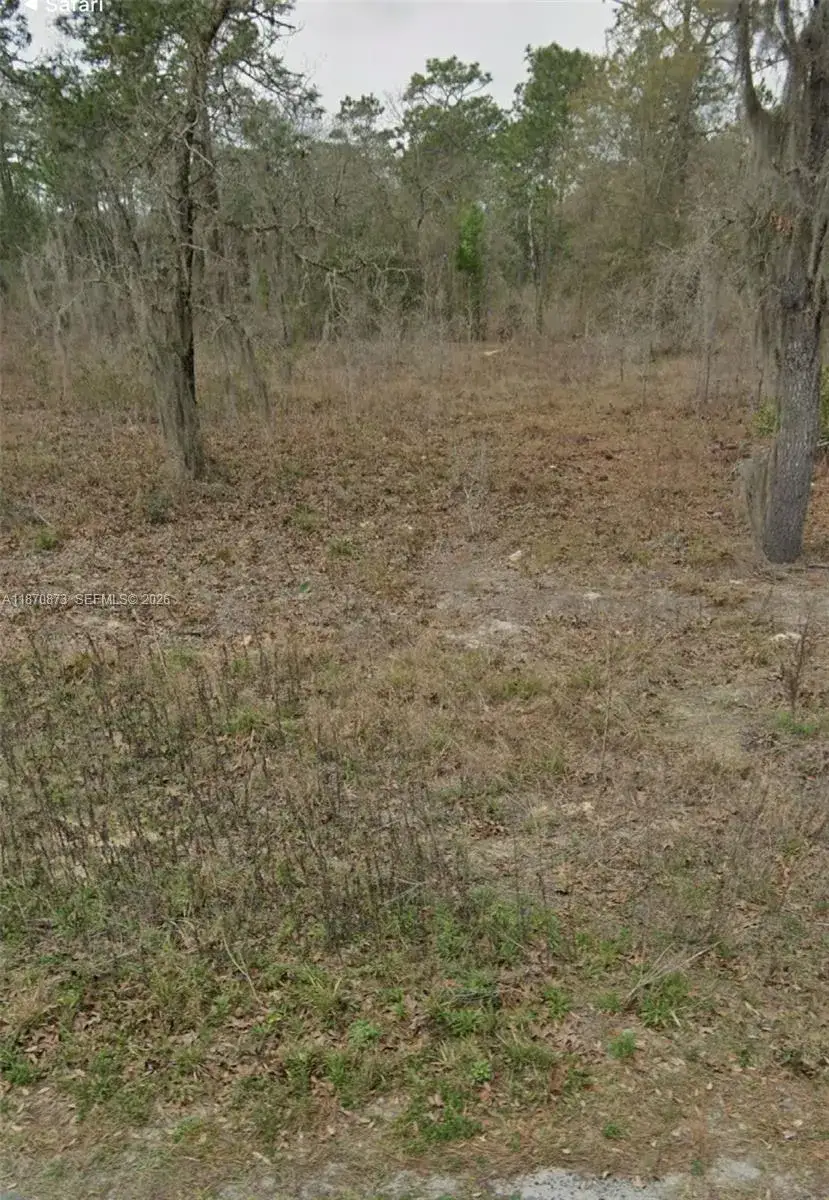 UNDETERMINED SW 130th Ave, Other City - In The State Of Florida FL 34432