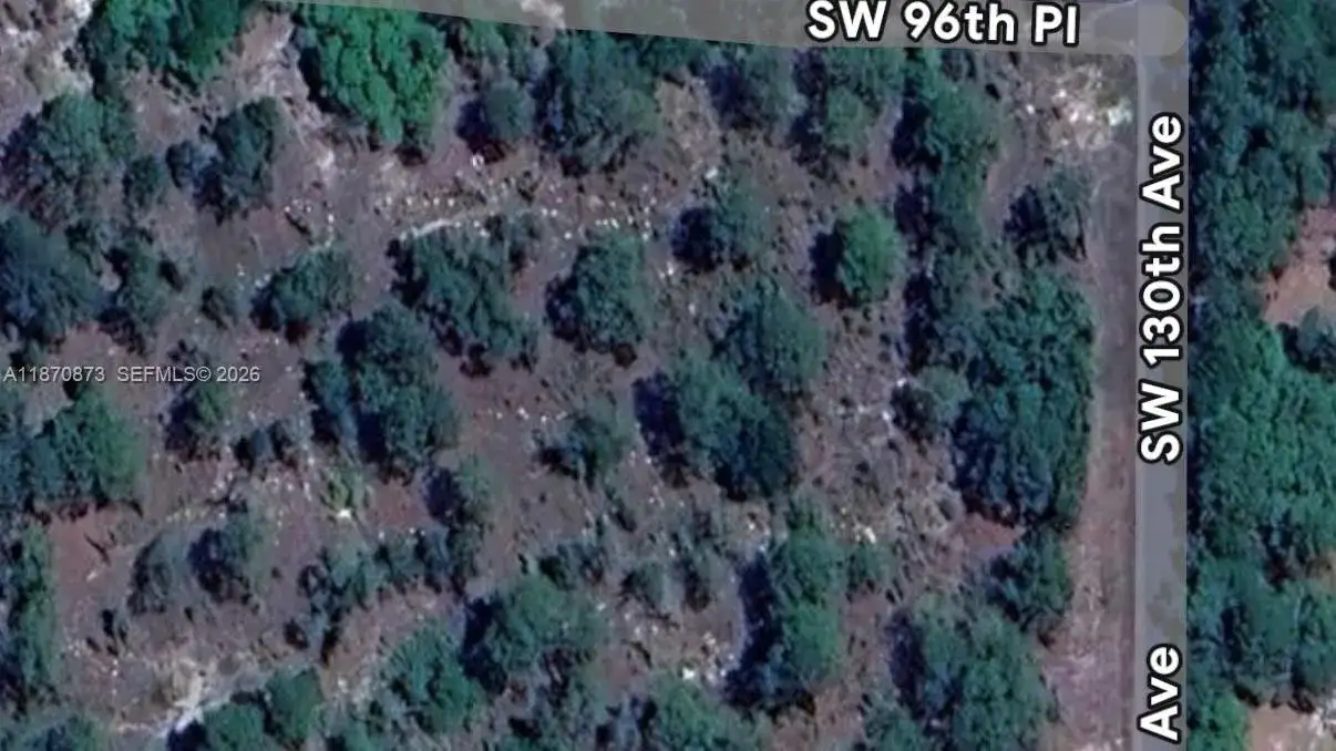 UNDETERMINED SW 130th Ave, Other City - In The State Of Florida FL 34432 photo 2