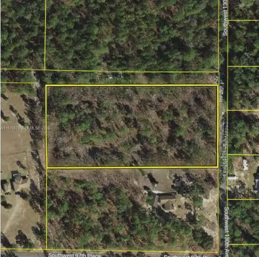 UNDETERMINED SW 130th Ave, Other City - In The State Of Florida FL 34432 photo 3