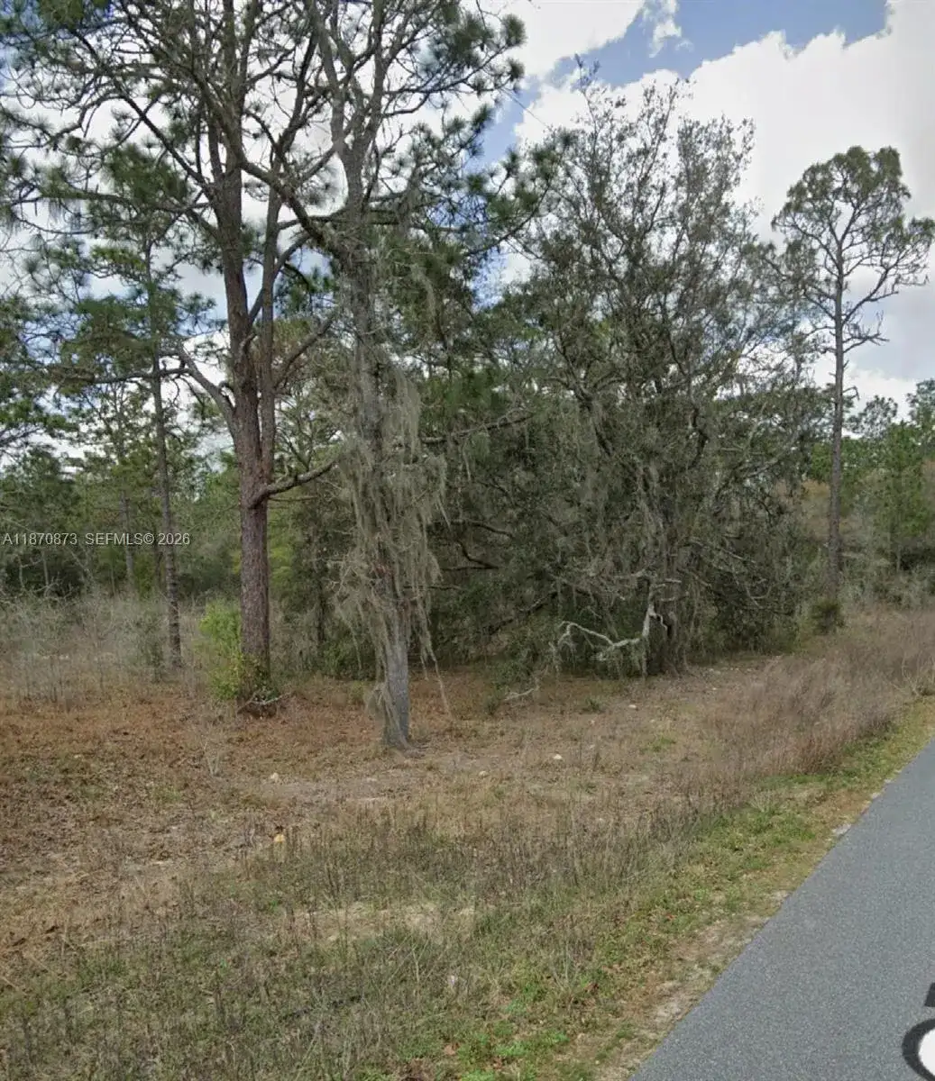 UNDETERMINED SW 130th Ave, Other City - In The State Of Florida FL 34432 photo 4