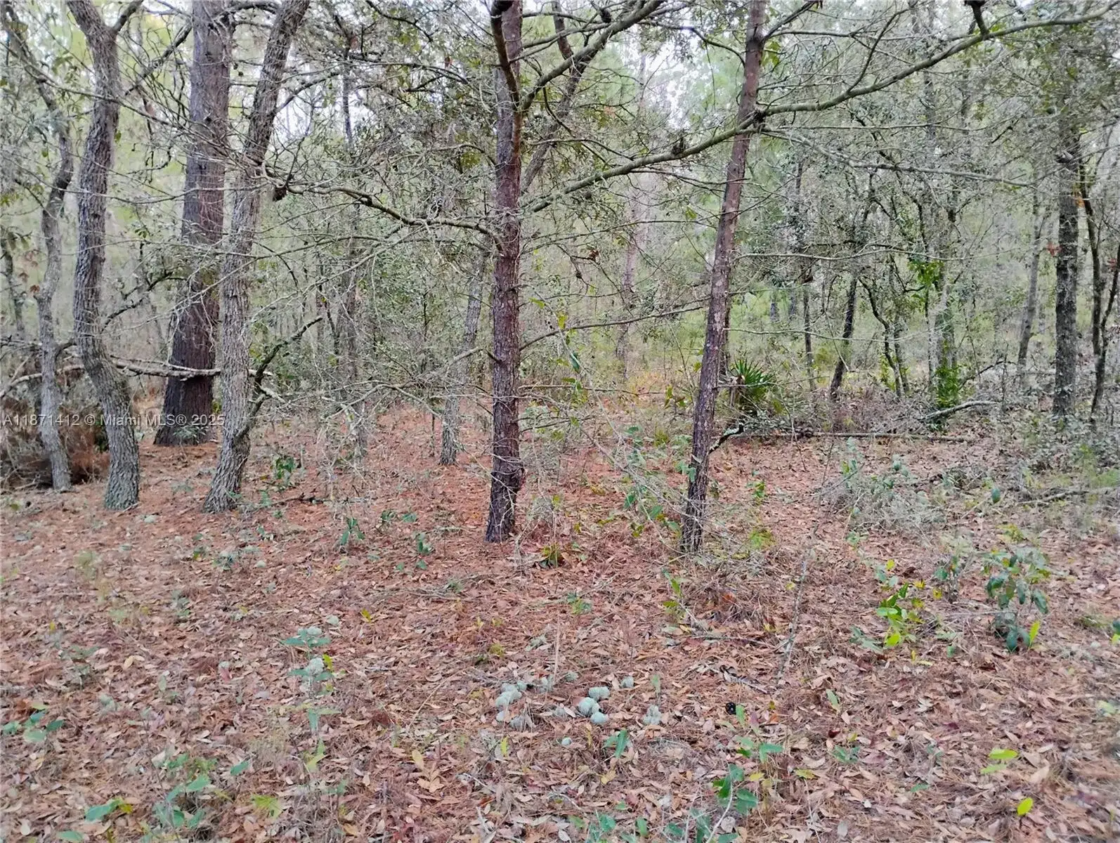 302 Kennedy, Palatka FL 32148 photo 4