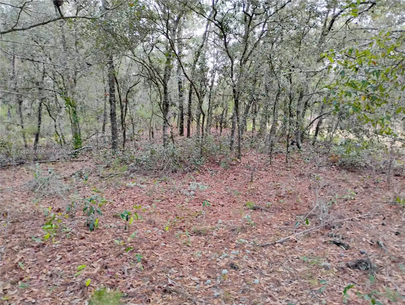 302 Kennedy, Palatka FL 32148 photo 5