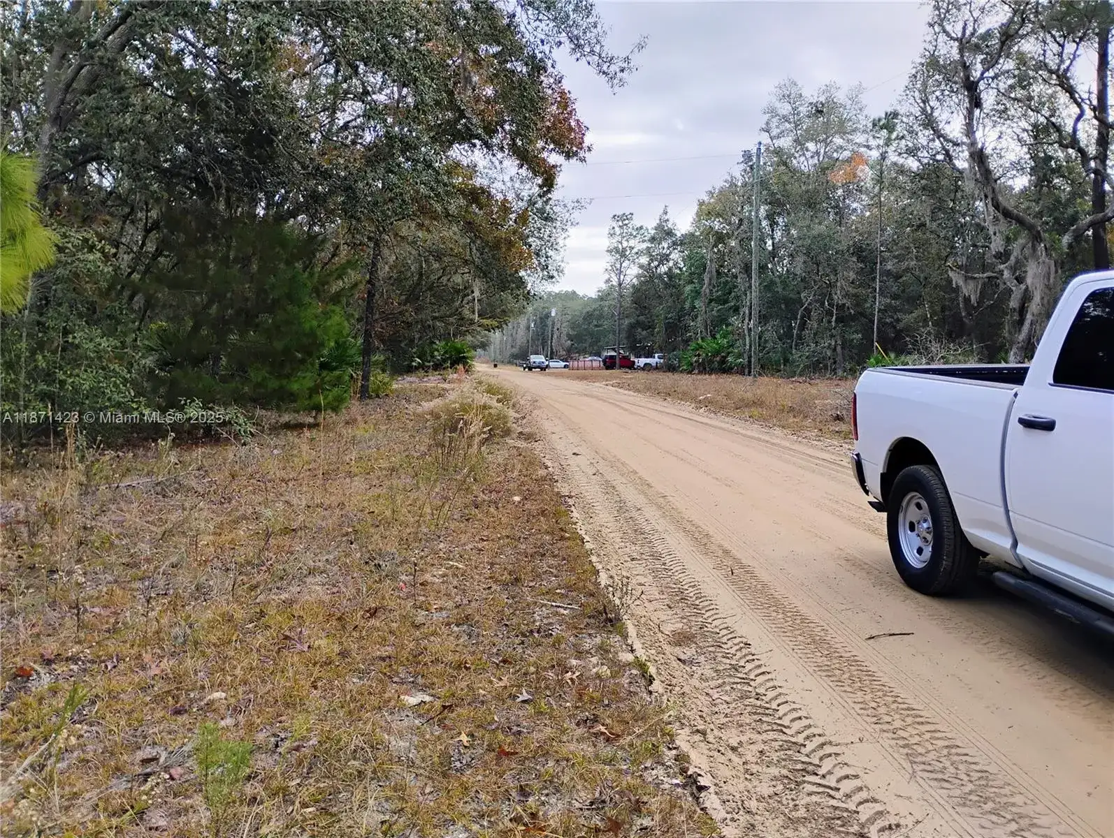 244 Thompson, Palatka FL 32148 photo 2