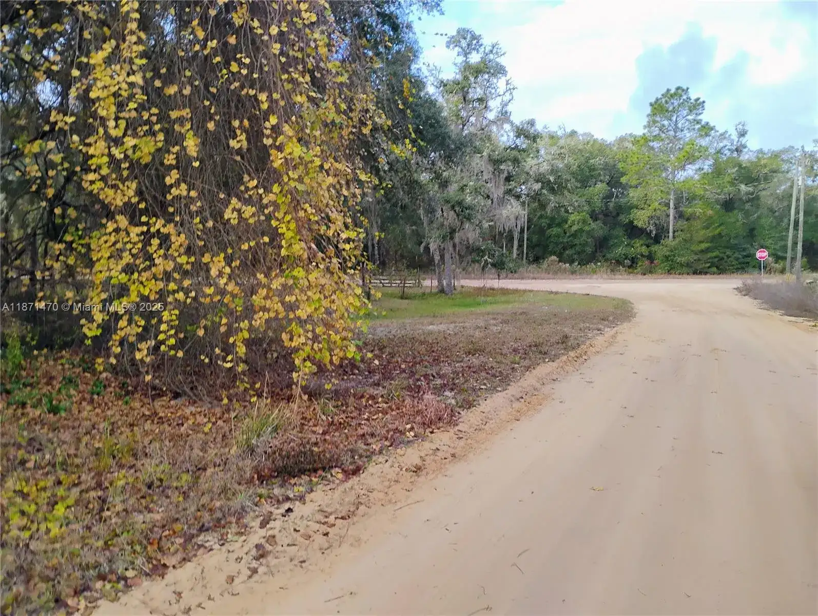 103 Antler, Palatka FL 32148 photo 2