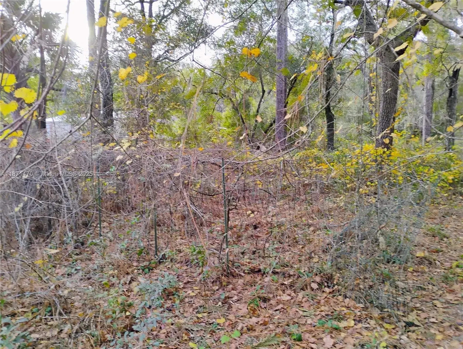 103 Antler, Palatka FL 32148 photo 4