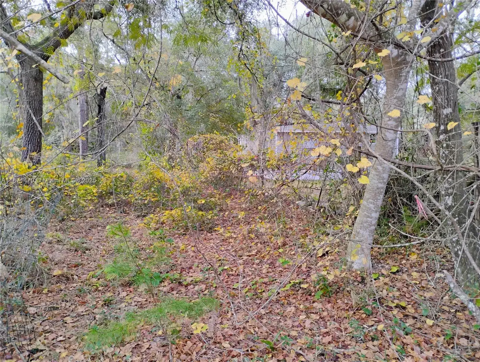 103 Antler, Palatka FL 32148 photo 5