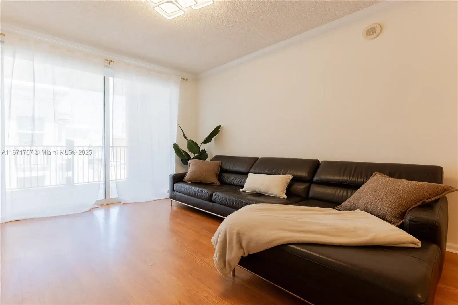 17100 N Bay Rd, Sunny Isles Beach FL 33160 photo 5