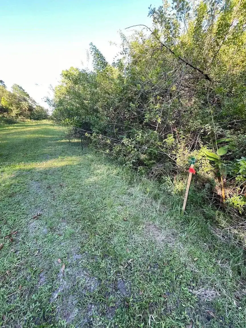 635 S Estribo St, Clewiston FL 33440 photo 5