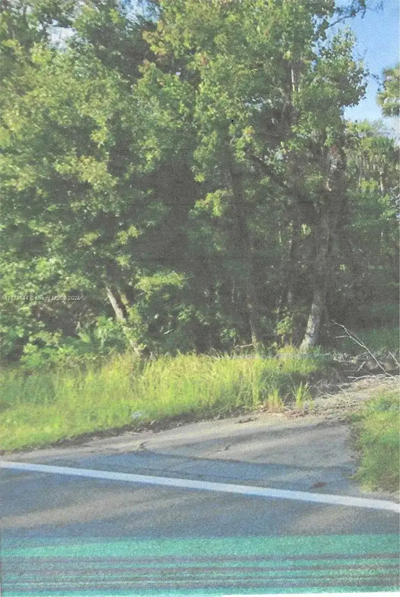 00 Adair Road, Davenport FL 33837 photo 2