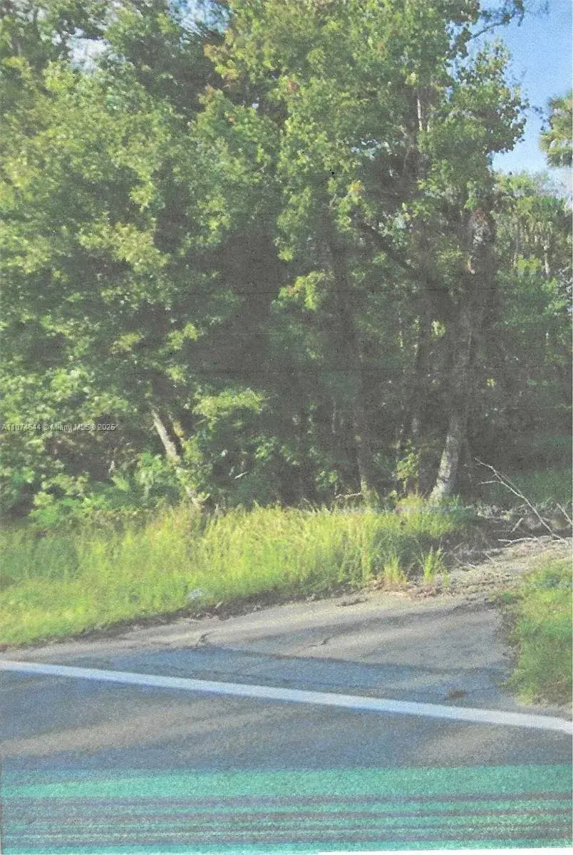 00 Adair Road, Davenport FL 33837
