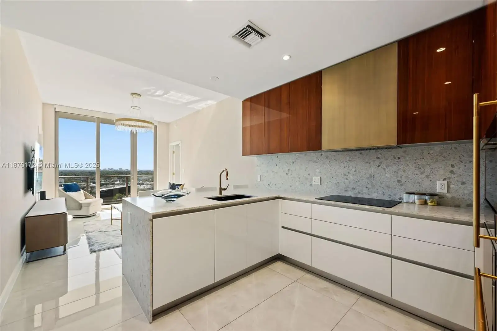 2678 Tigertail Ave # 1705, Miami FL 33133 photo 4