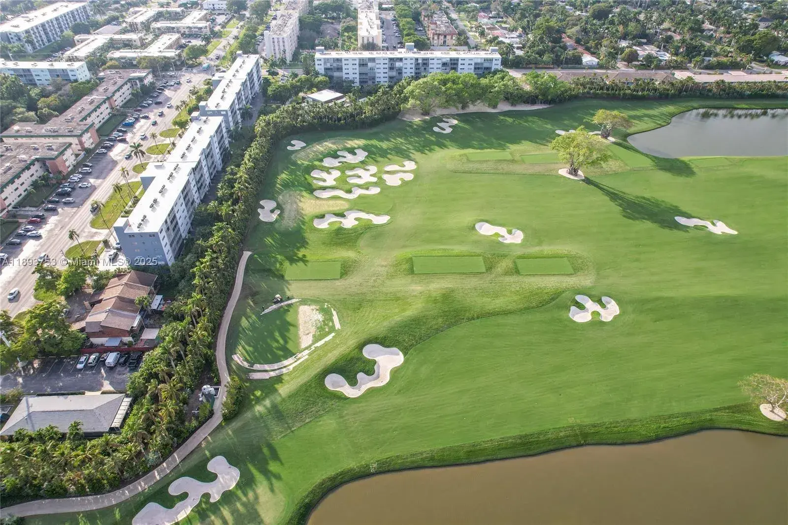1445 Atlantic Shores Blvd # 206, Hallandale Beach FL 33009