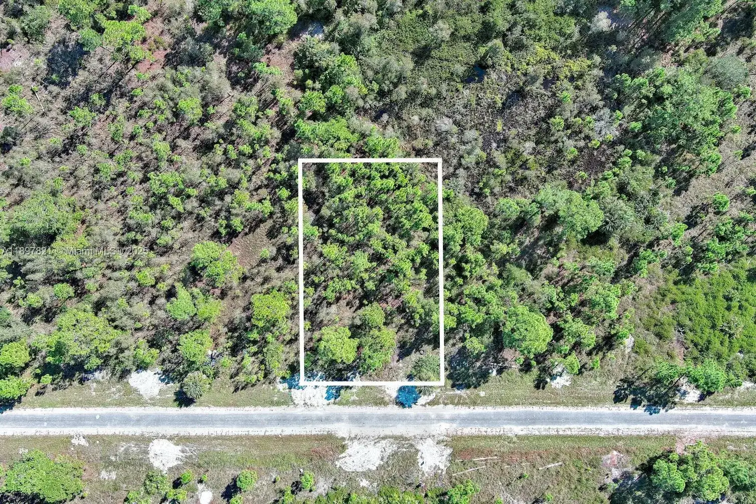 839 KALEY AVE S, Lehigh Acres FL 33974 photo 2