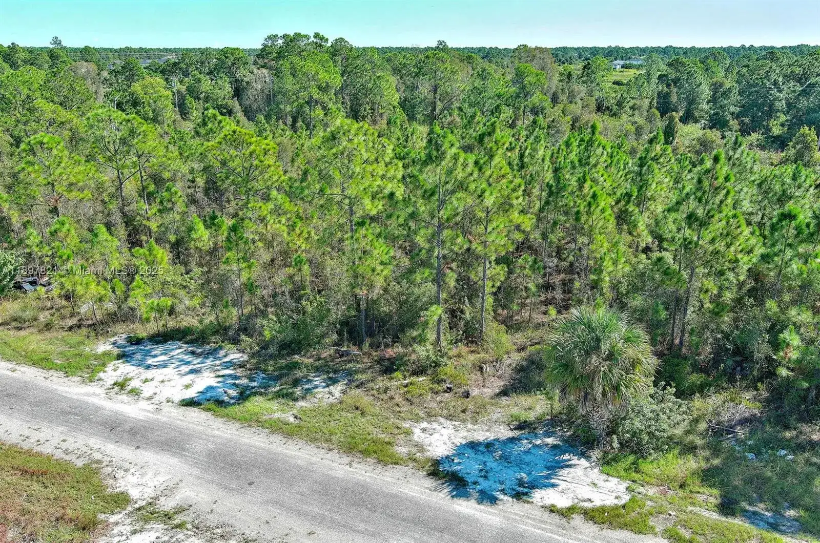 839 KALEY AVE S, Lehigh Acres FL 33974 photo 3