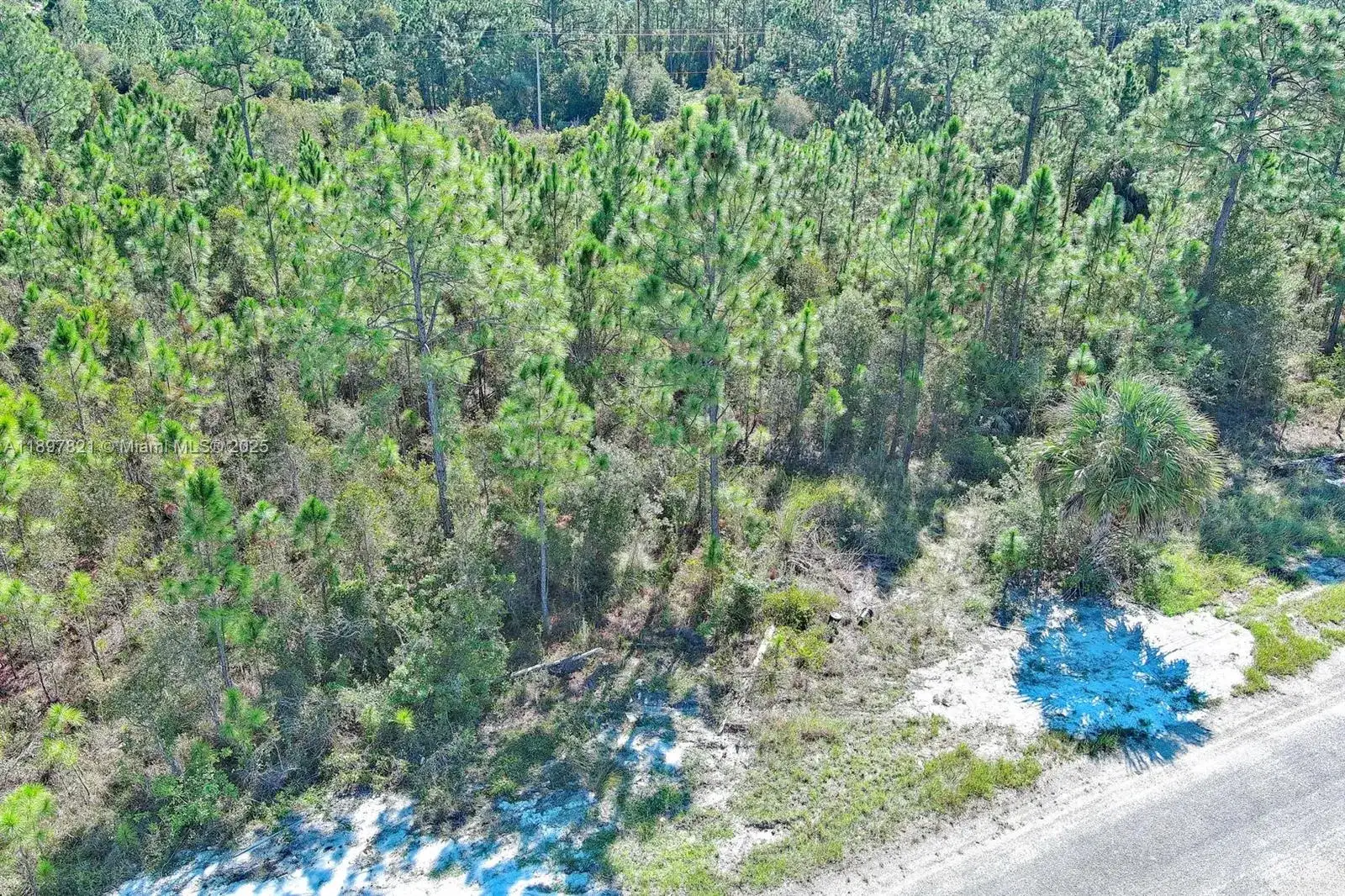 839 KALEY AVE S, Lehigh Acres FL 33974 photo 5