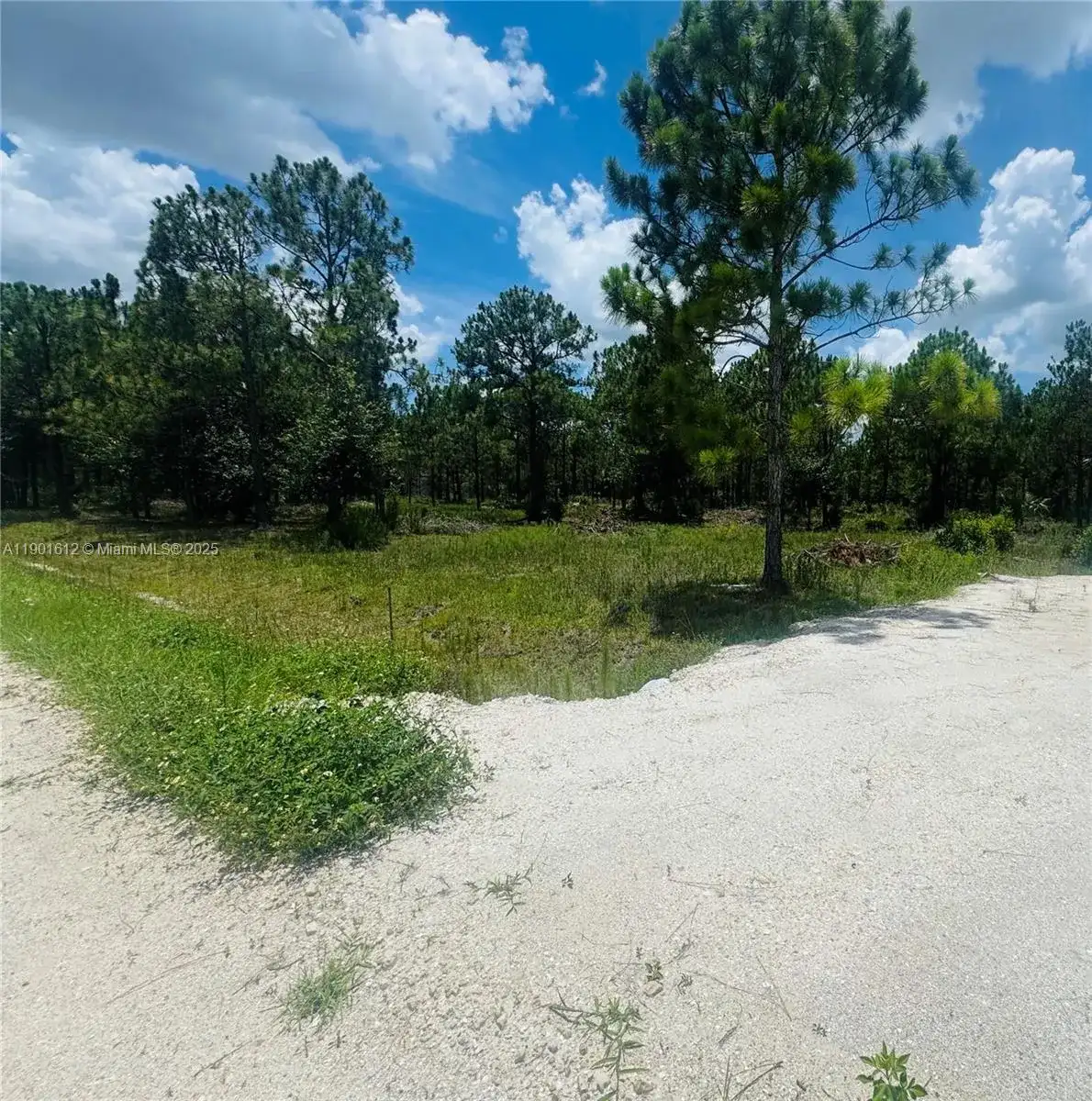 5120 PIONEER, Other City - In The State Of Florida FL 33440 photo 2