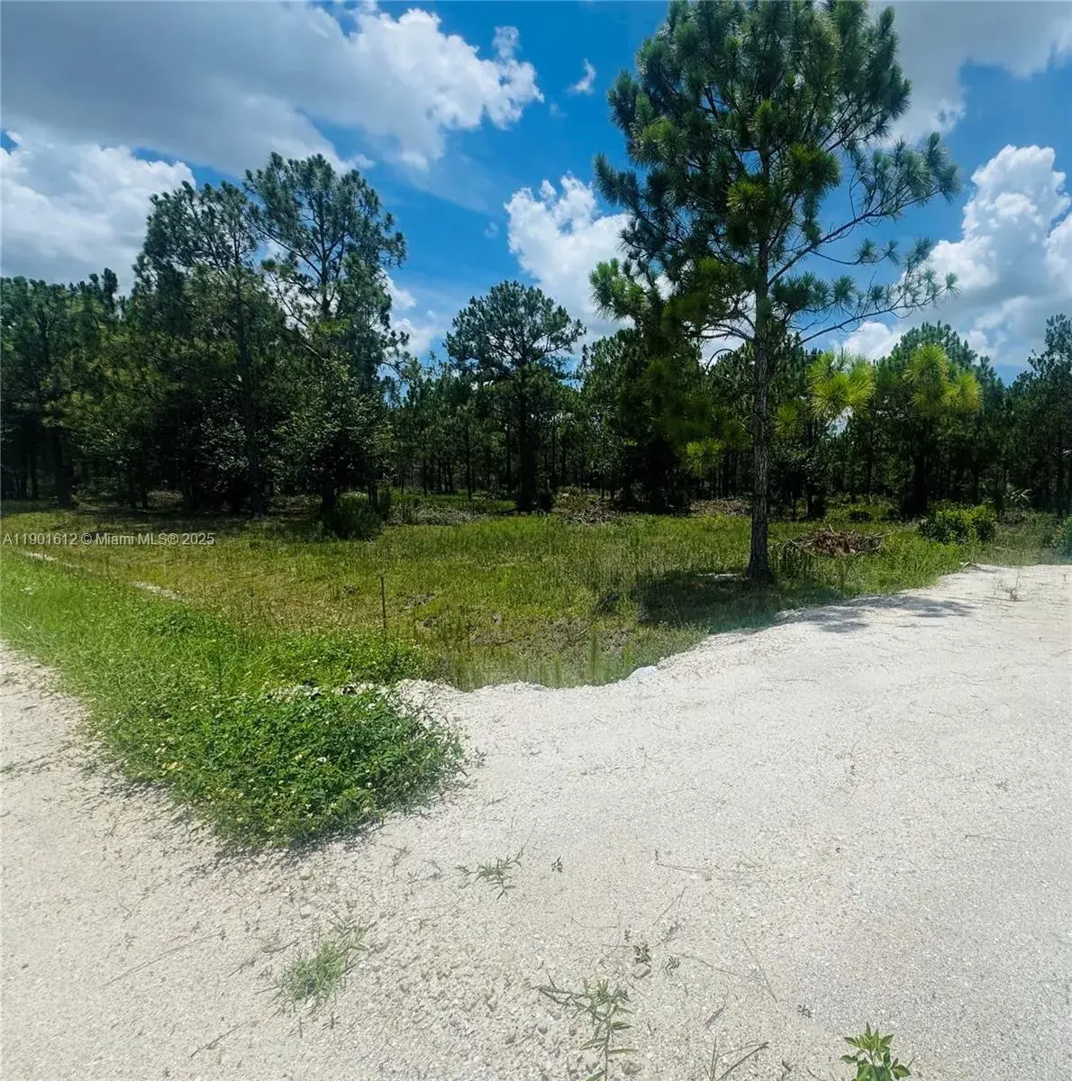 5120 PIONEER, Other City - In The State Of Florida FL 33440