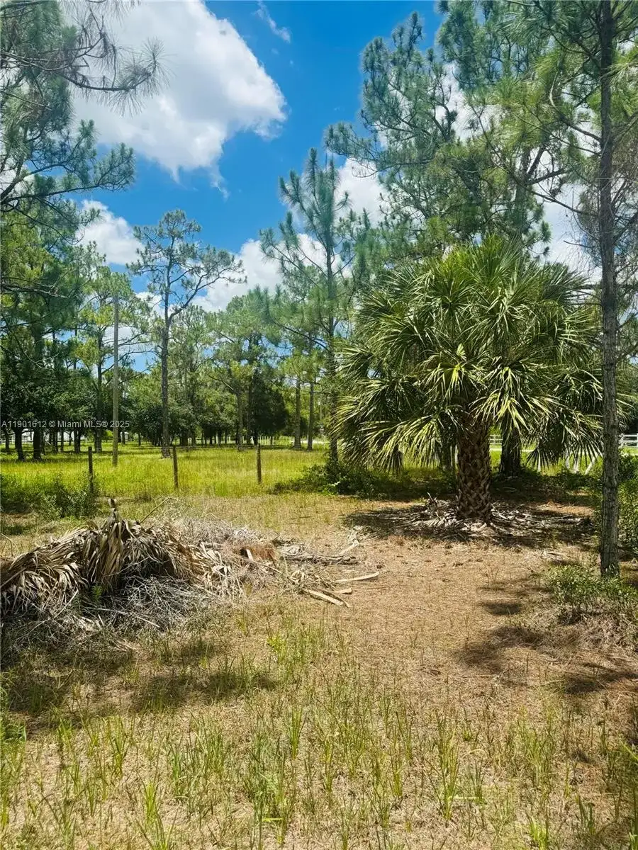 5120 PIONEER, Other City - In The State Of Florida FL 33440 photo 5