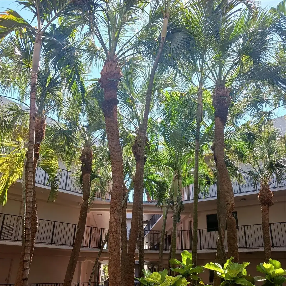 8650 SW 133rd Ave Rd # 208, Miami FL 33183 photo 2