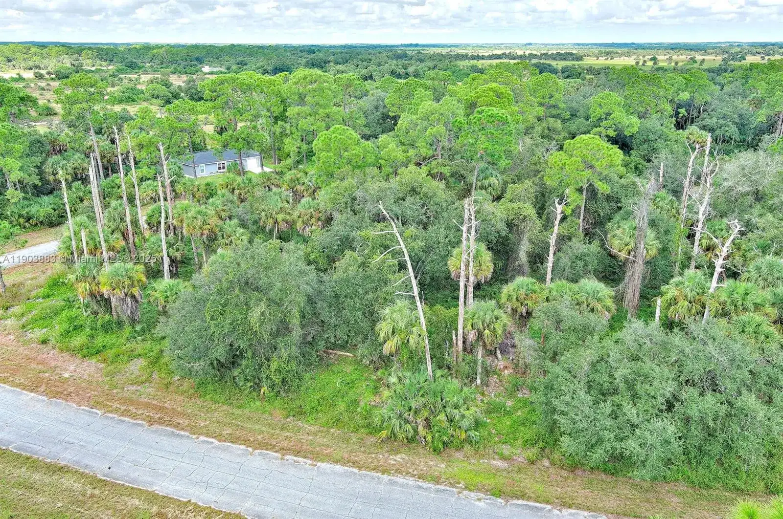 232 SPARKLE DR, La Belle FL 33935 photo 3