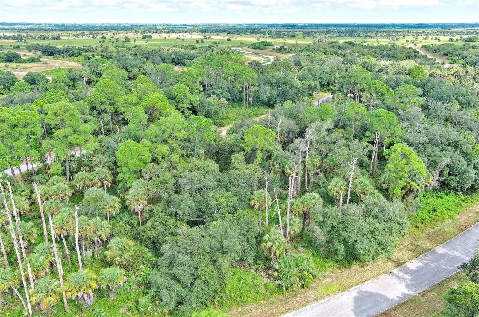 232 SPARKLE DR, La Belle FL 33935 photo 4