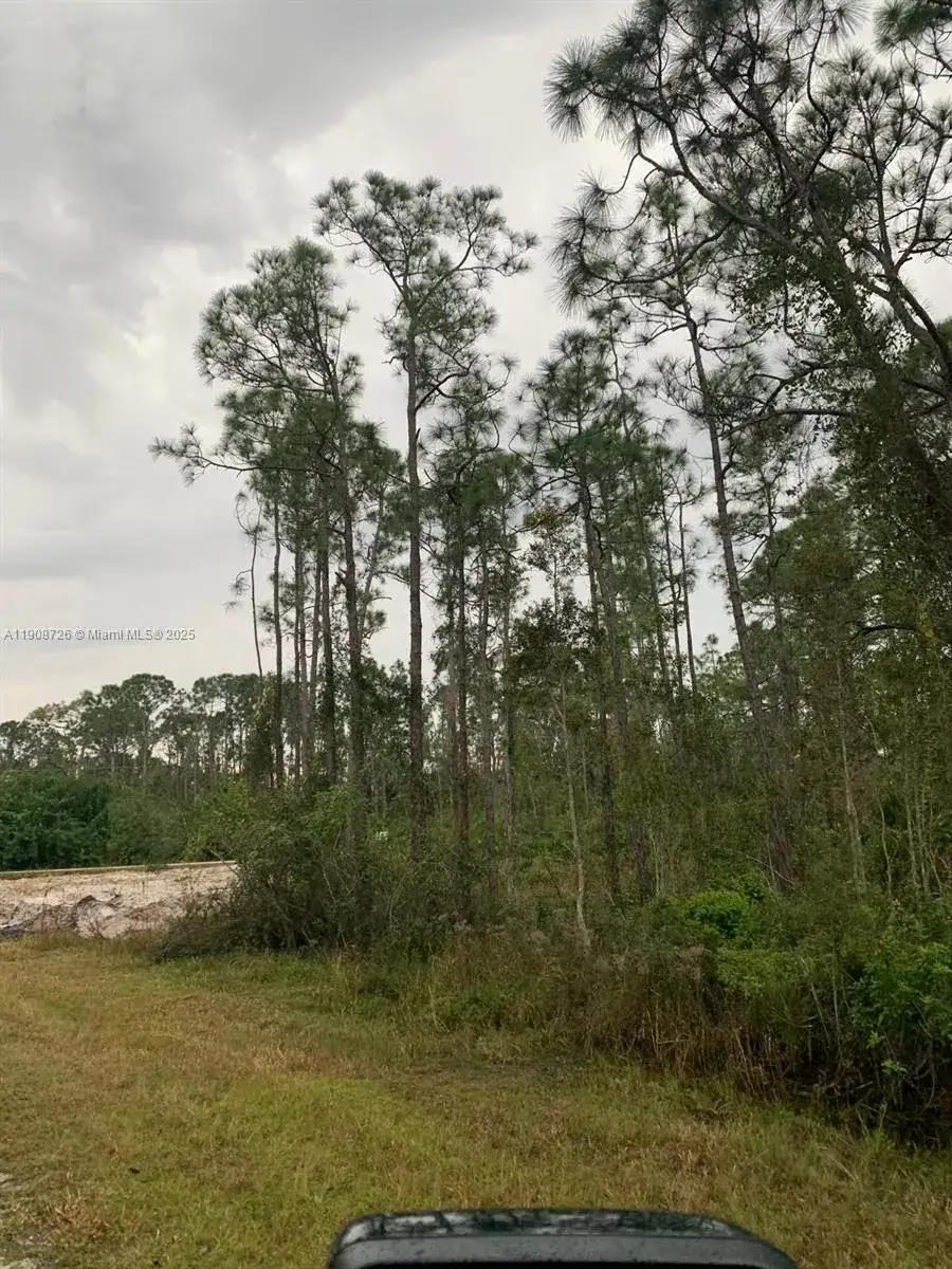 28338 Calais Ave, Punta Gorda FL 33955 photo 2