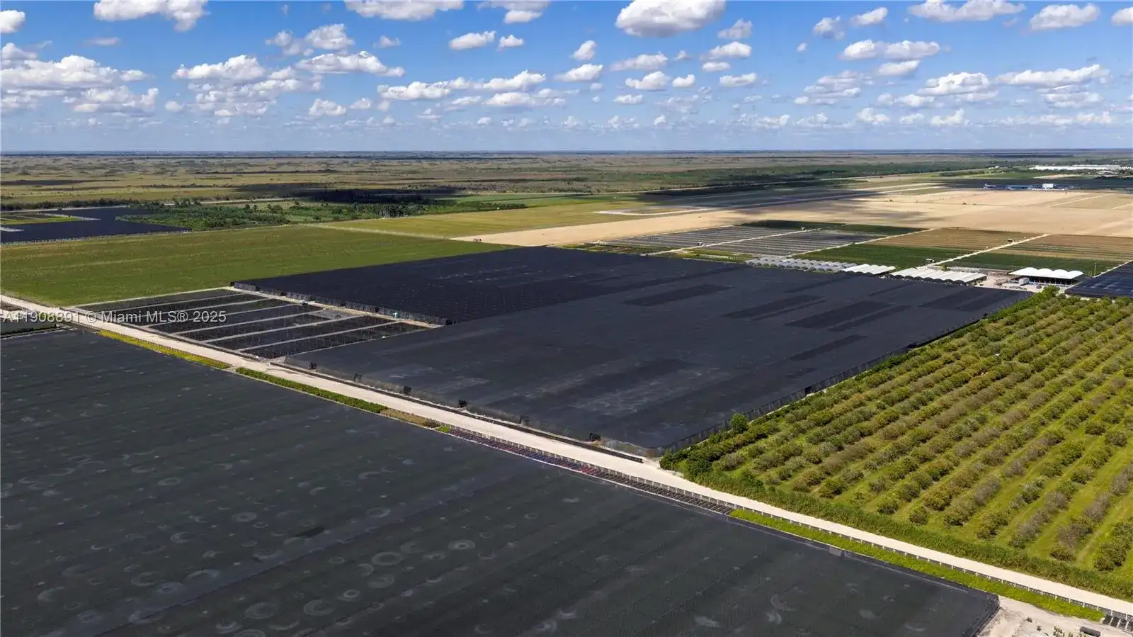 40 Acres of Improved Agricultural Land For Sale, Homestead FL 33030 photo 5