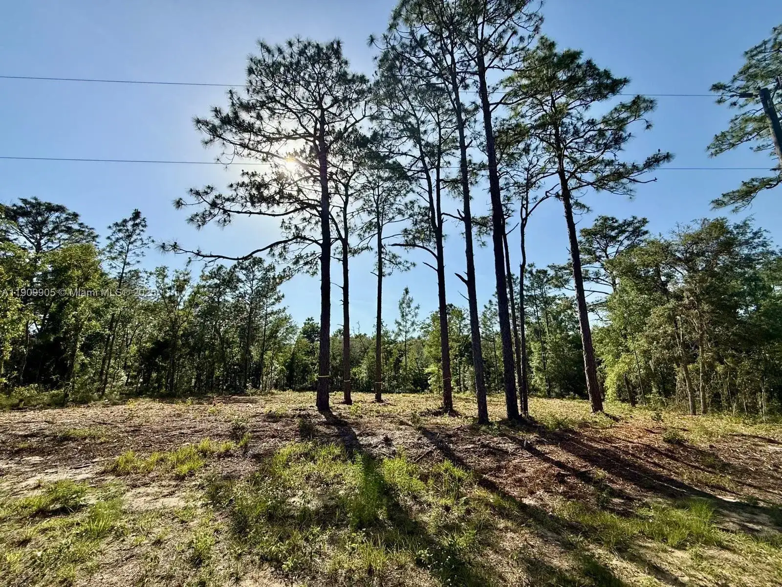 0 NW 157th Ave, Williston FL 32696 photo 2
