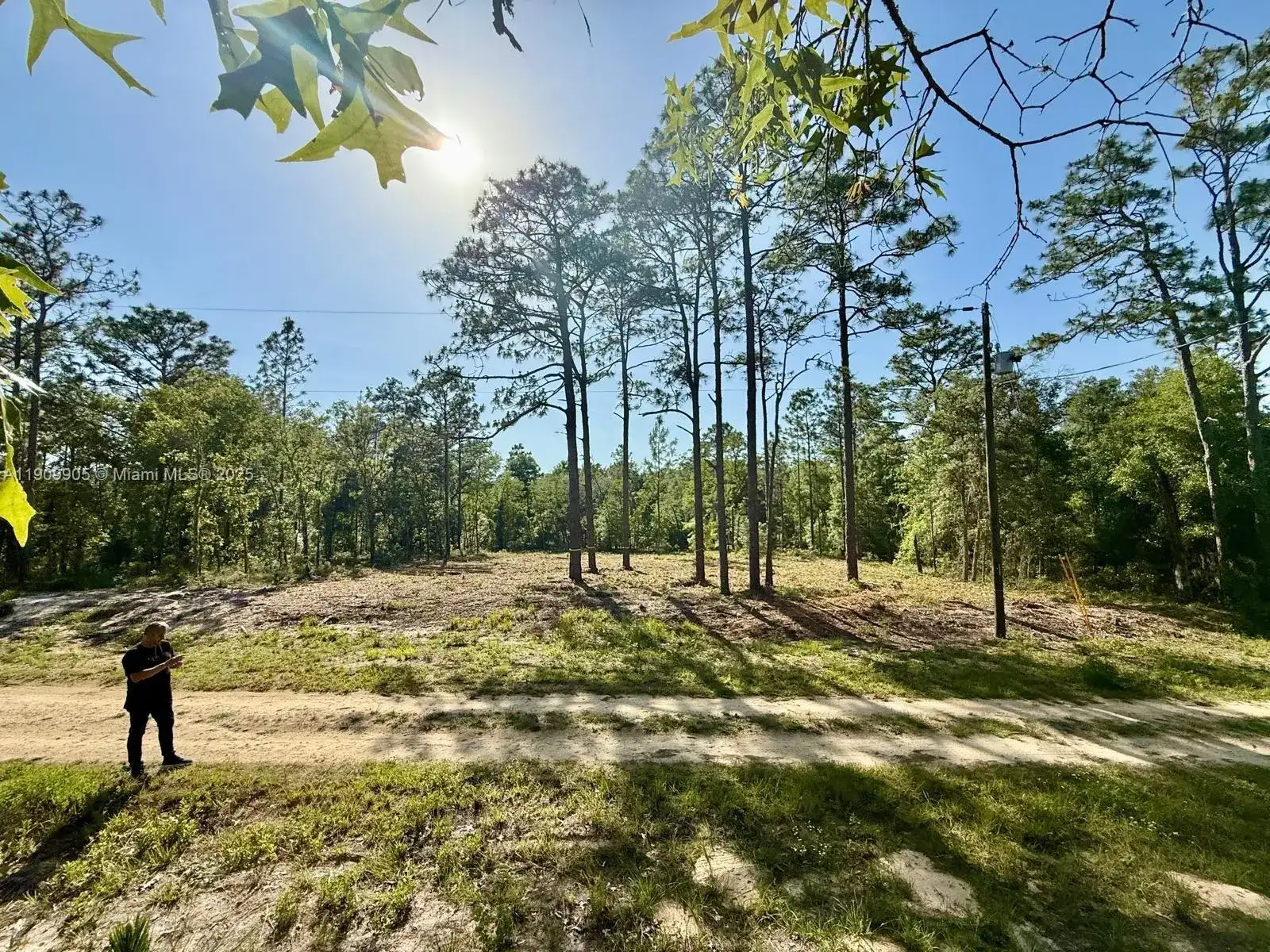 0 NW 157th Ave, Williston FL 32696 photo 3