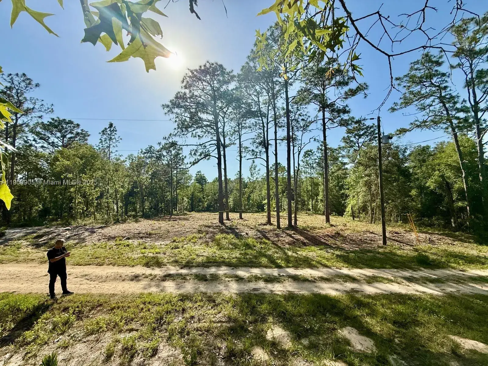 0 NW 157th Ave, Williston FL 32696