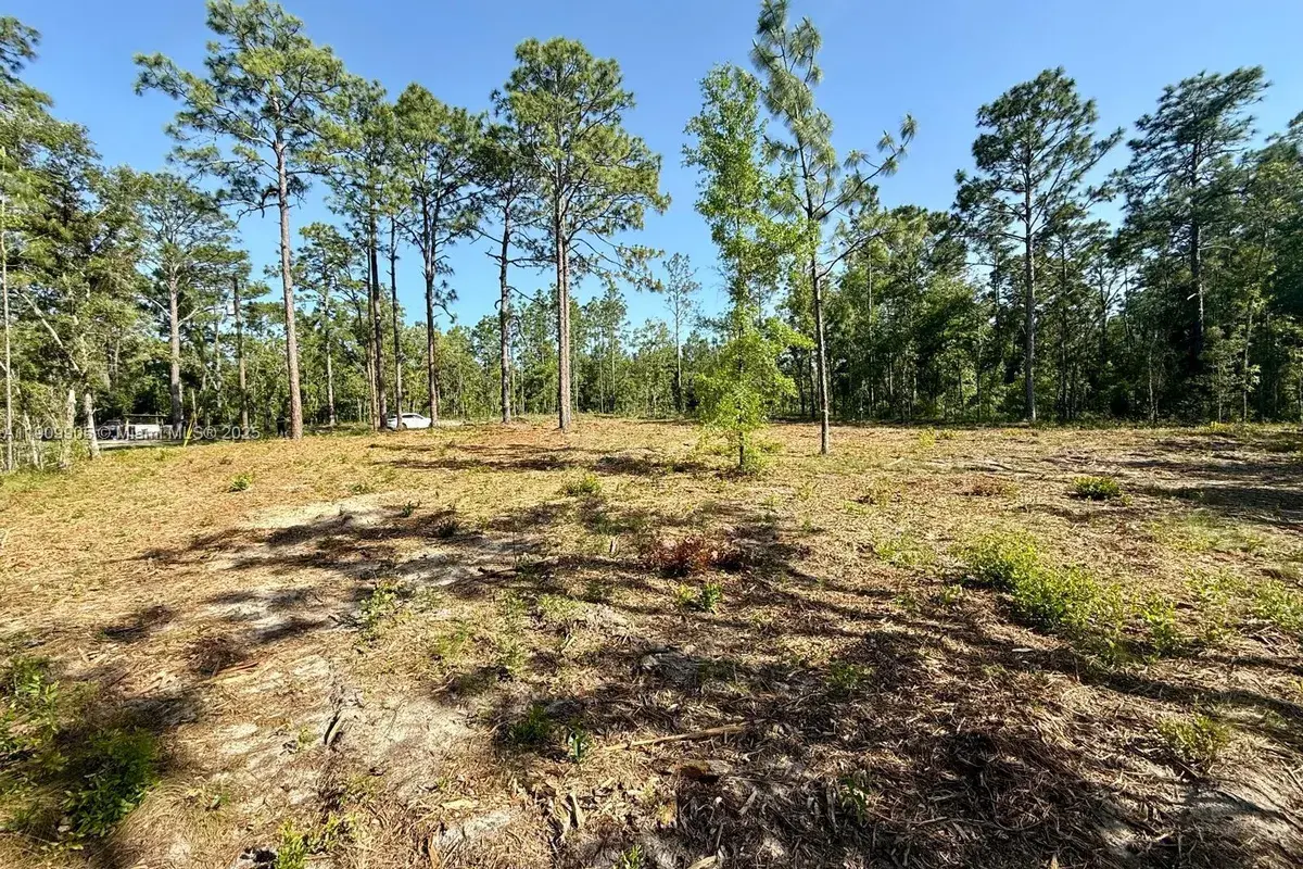 0 NW 157th Ave, Williston FL 32696